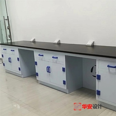 廣東惠州PP實驗室家具定制安裝項目