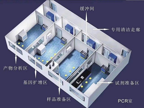 PCR實驗室分區