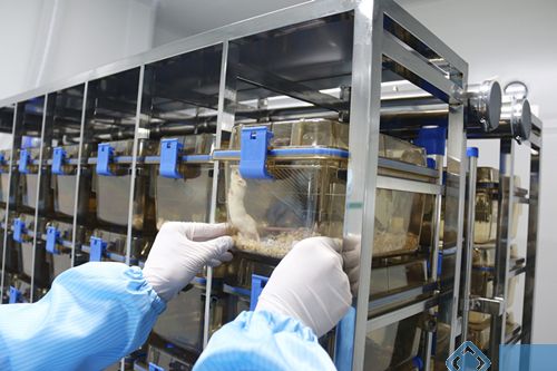 SPF動物實驗室裝修公司，承接全國SPF級實驗室裝修設計